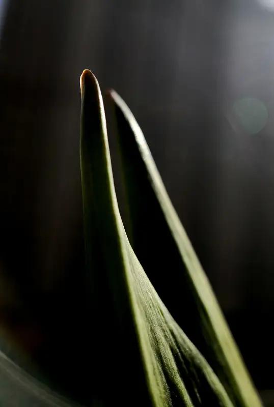 于善良中添些锋芒，为自身保驾护航岁月悠悠，余生迢迢，我们常被教导要做善良之人。