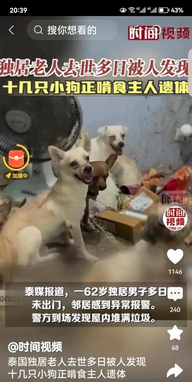 泰国一个独居老人去世多日被发现，十几只小狗正在啃食主人遗体。养狗的人都说狗是人