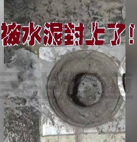 这是2026年4月发生在河南郑州的一起极端租房恶意报复事件（郑女士案）：