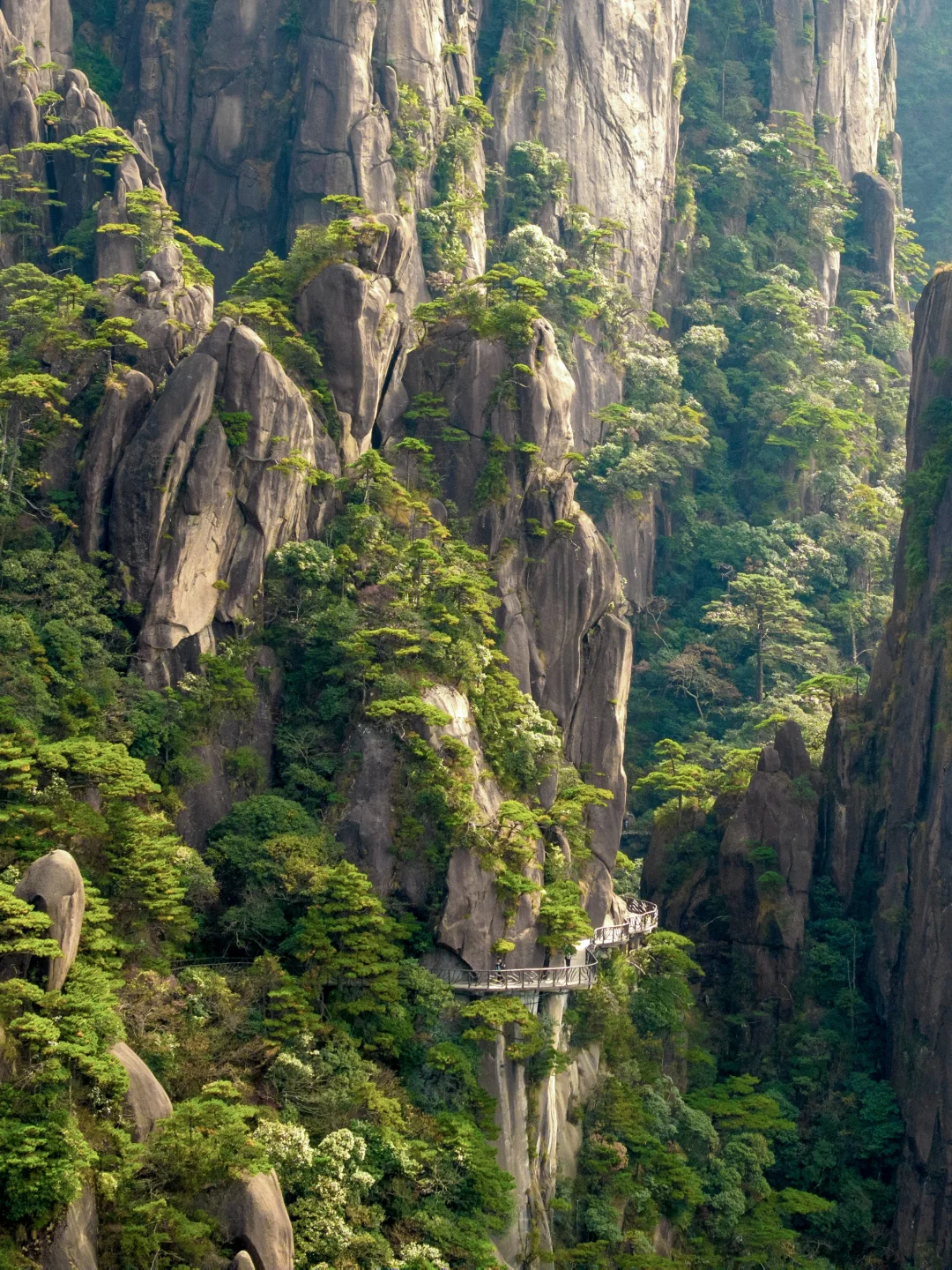 人生建议：三清山一定要走这条轻松绝美路线！