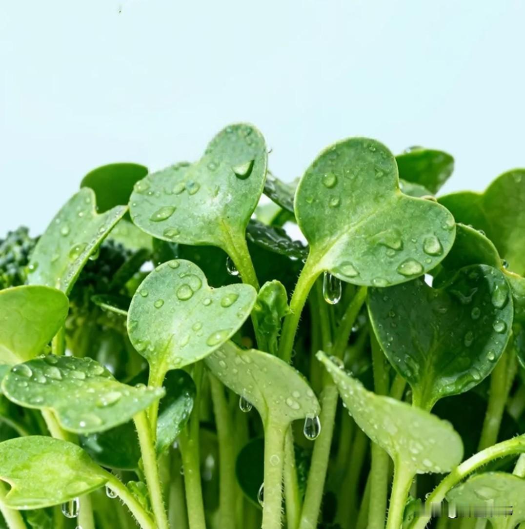 不到万不得已，千万别亮自己的底牌做人最忌讳的，就是一上来就把自己掏心掏肺，