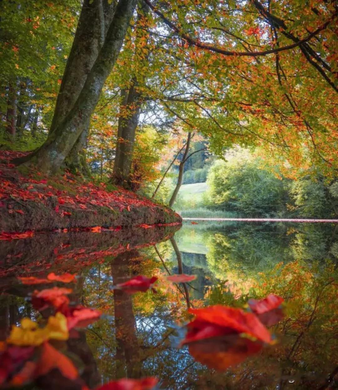 一位退休老人说：“退休后疯狂旅游5年，走遍全国才发现：旅行对老年人来说，好像越来