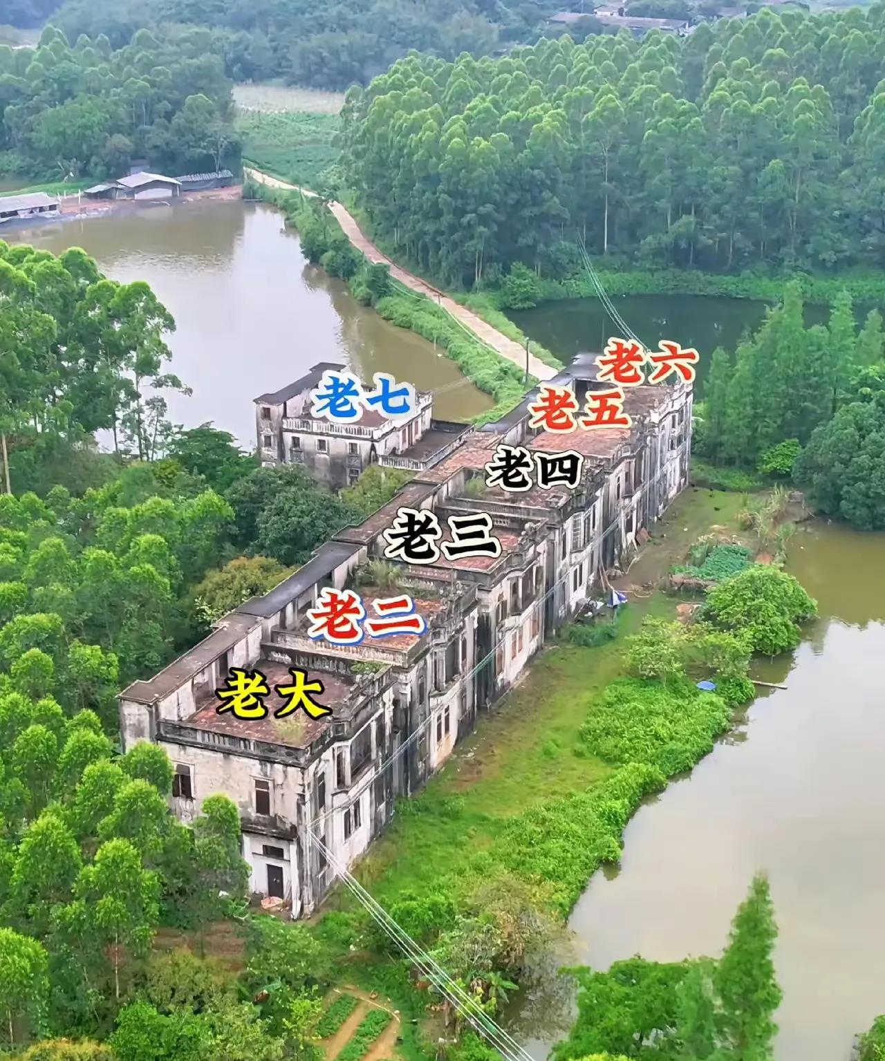 7兄弟在一起，属实不错。