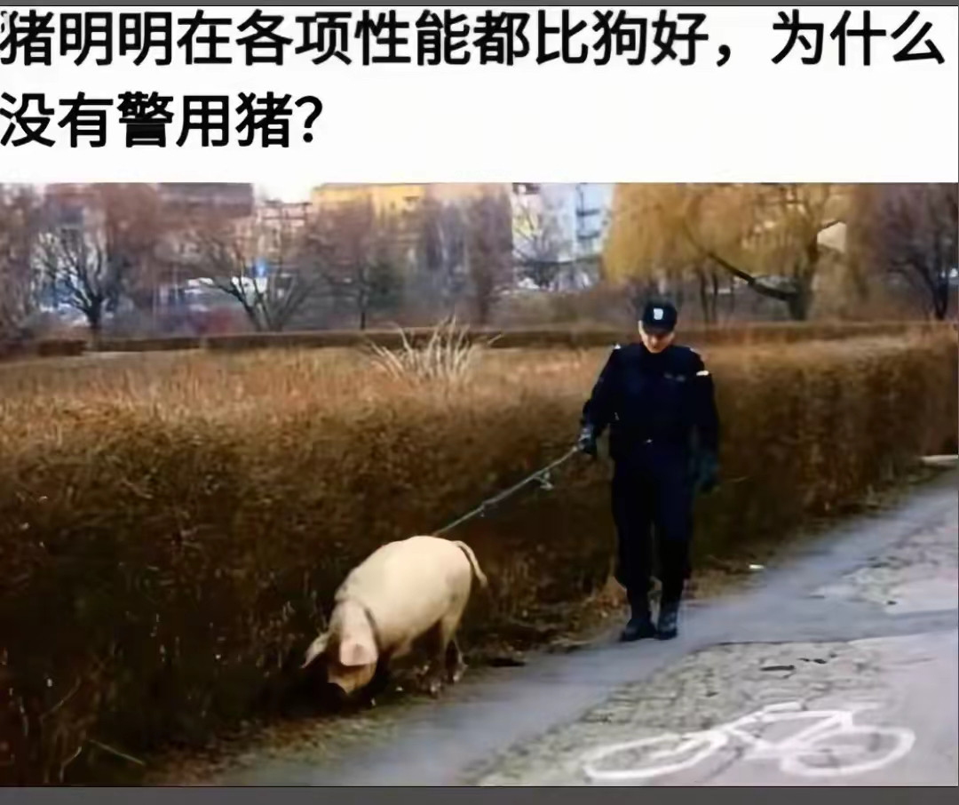 这是个难解的题