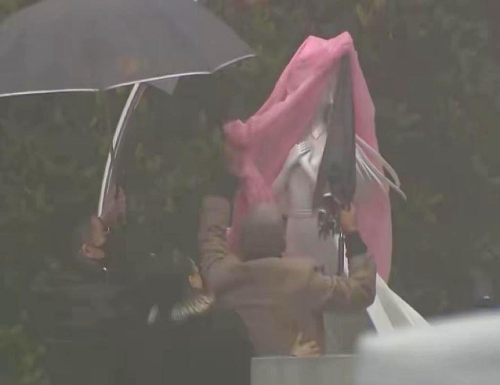 大S忌日，金宝山那把伞，刺痛了所有人。细雨粘住粉色的布，紧紧贴在冰冷的石头