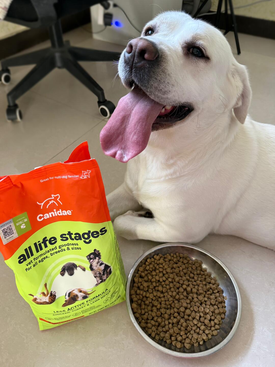 狗狗我呀减肥成功啦！