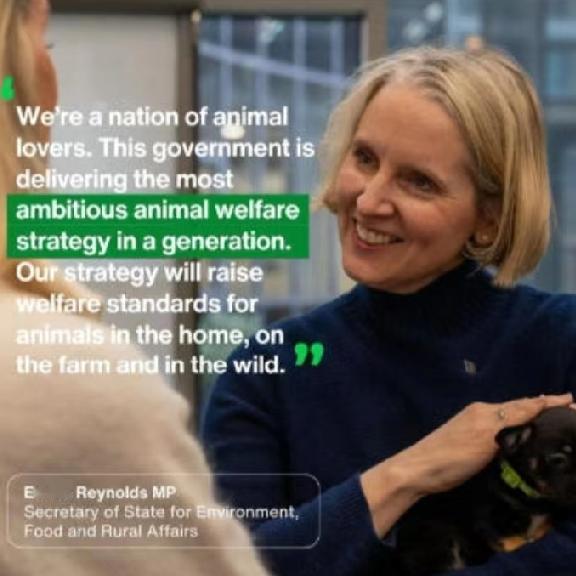 英国发布新规:龙虾、螃蟹活杀违法，日不落不愧是文明灯塔国，把龙虾、螃蟹感动哭了！