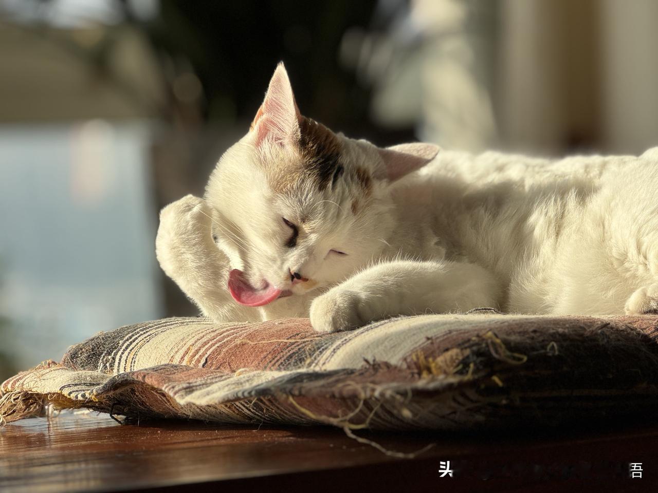 不用上班的不苦！