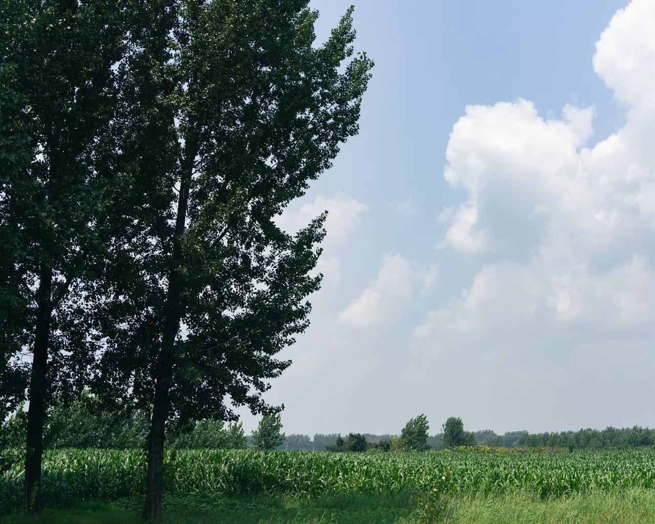 聪明的父母在孩子睡觉之前，在孩子吃饭之前，都不会发生矛盾，为啥呢？因为人在吃饭时