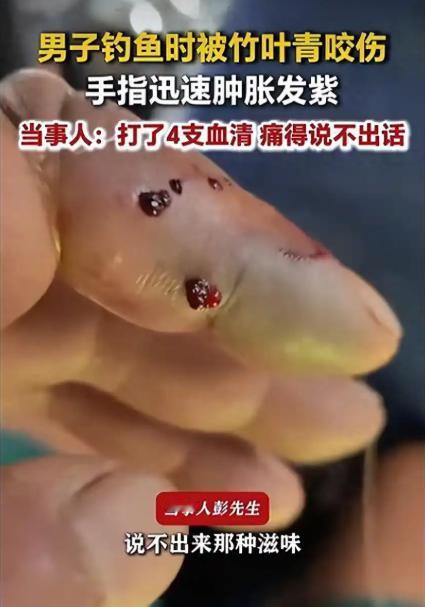 事发当天，当地天气舒适，气温适宜，正是适合户外垂钓的好天气。男子彭先生趁着闲暇时