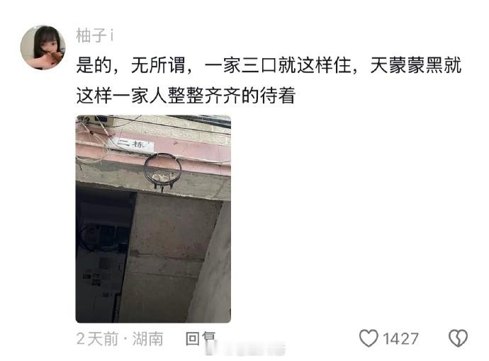 看吧鸟都知道需要一起筑巢才能下蛋！