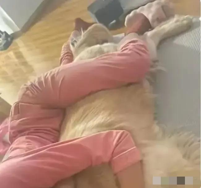 49岁了，在陕西西安的一个寡妇。她的丈夫五年前去世了，她养了一只大金毛，名叫阿