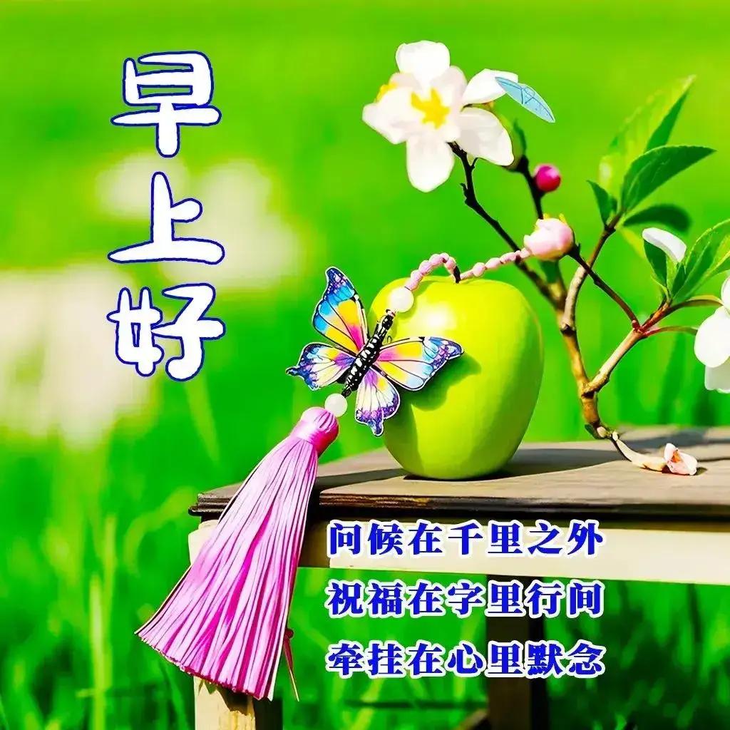 清晨看到那些高清又唯美的图片，配上暖心问候语，一天心情都美美的。我的心意，和清晨