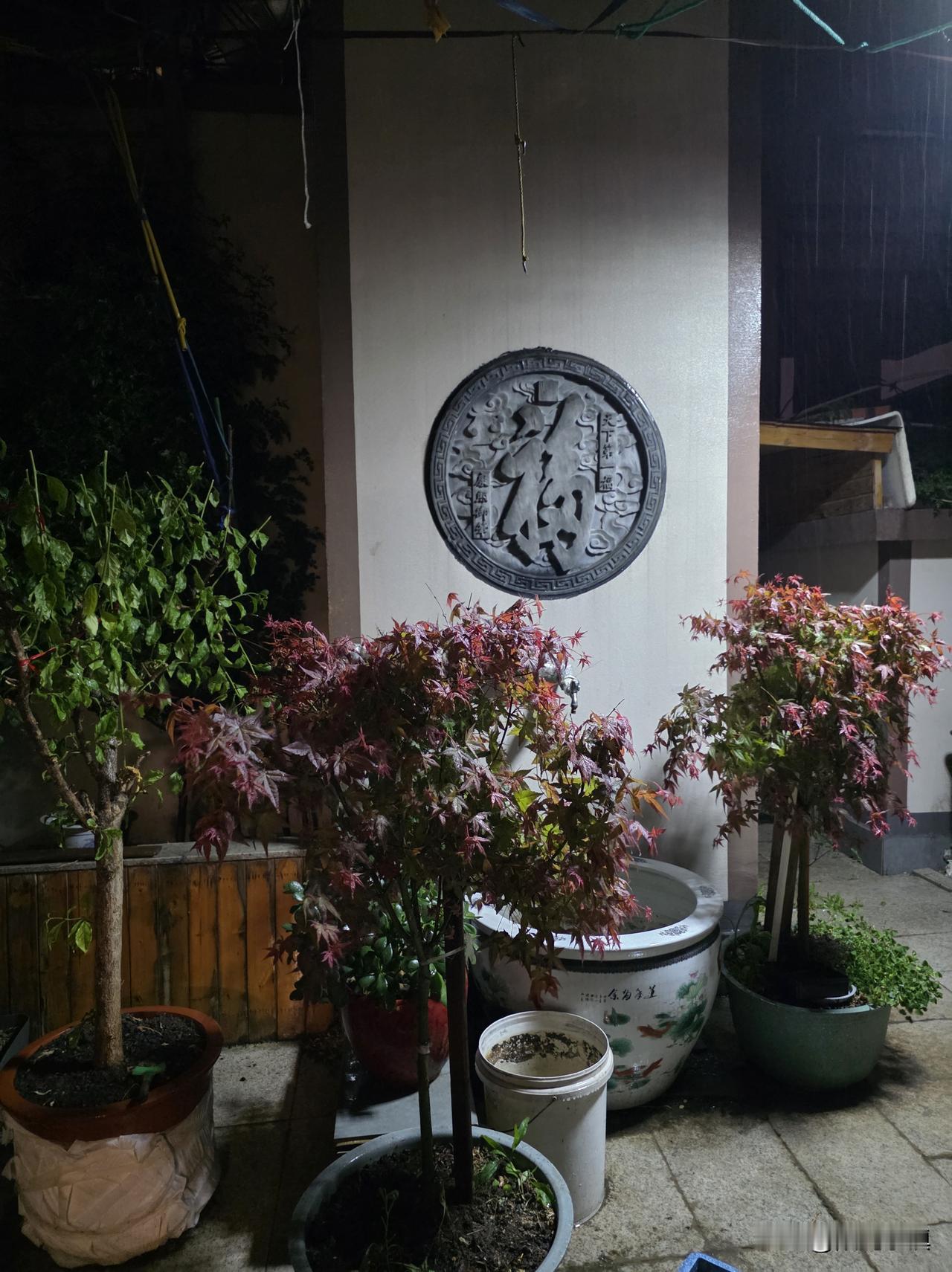 今天晚上，济南突然下雨了……9点左右带lucky去露台透气，才知道下雨了，还