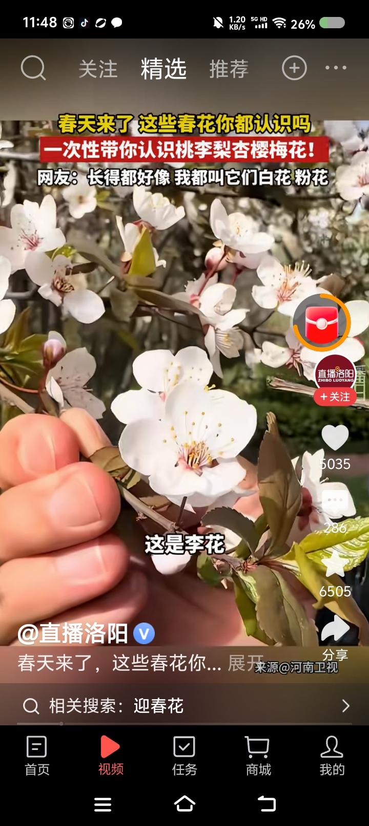 你识几种花？——据报道，有人讲樱花、桃花、杏花、梨花、梅花的特点……点