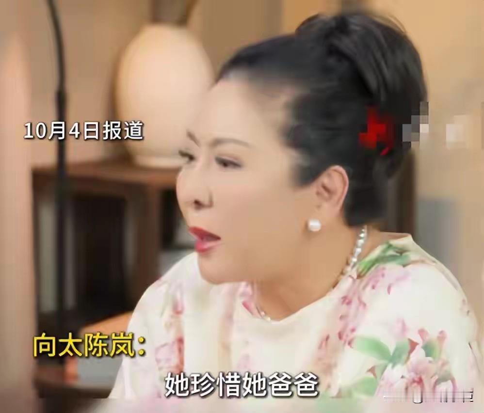 向太对郭碧婷的评价集中在六个字：温柔，独立，孝顺。这六个字，用来评价普通家庭的