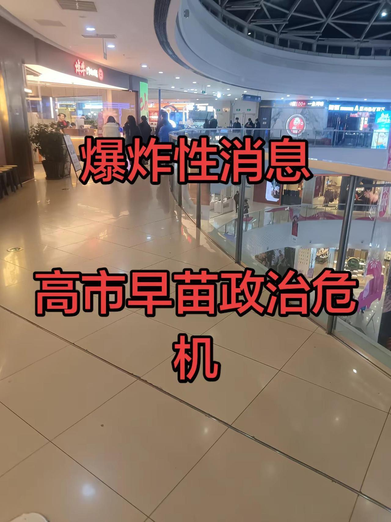 随拍每一帧都是热爱