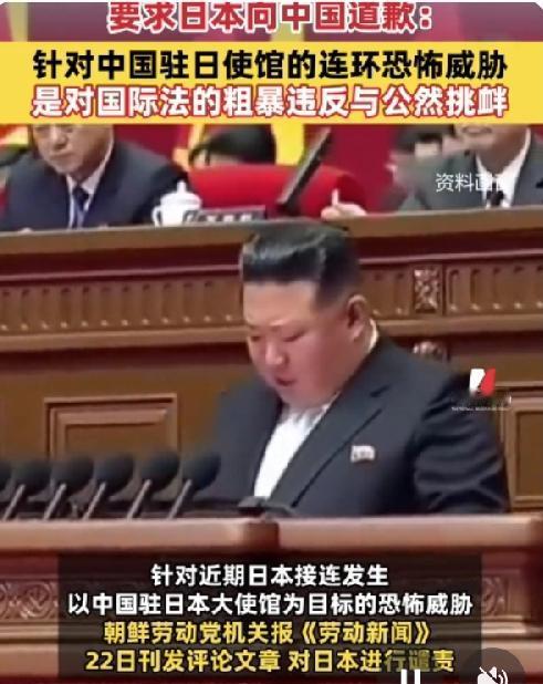 日本不但惹了中国，更惹了朝鲜，中朝关系举世皆知，朝鲜在涉及中国的国际事务场合，大