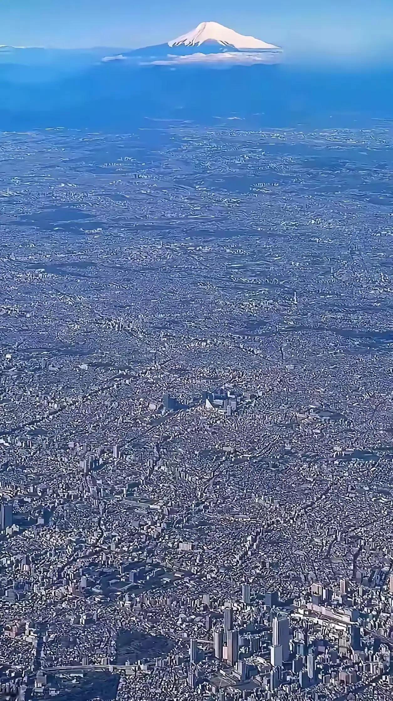 不吹不黑，东京是个好地方，人口稠密，国际大都市，这里的种植业特别发达，比如食用菌