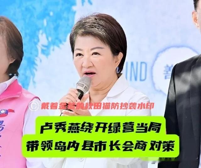 绕开民进党当局！卢秀燕欲率领岛内众县市长线上开会，自行商讨毒油解决方案，放话让