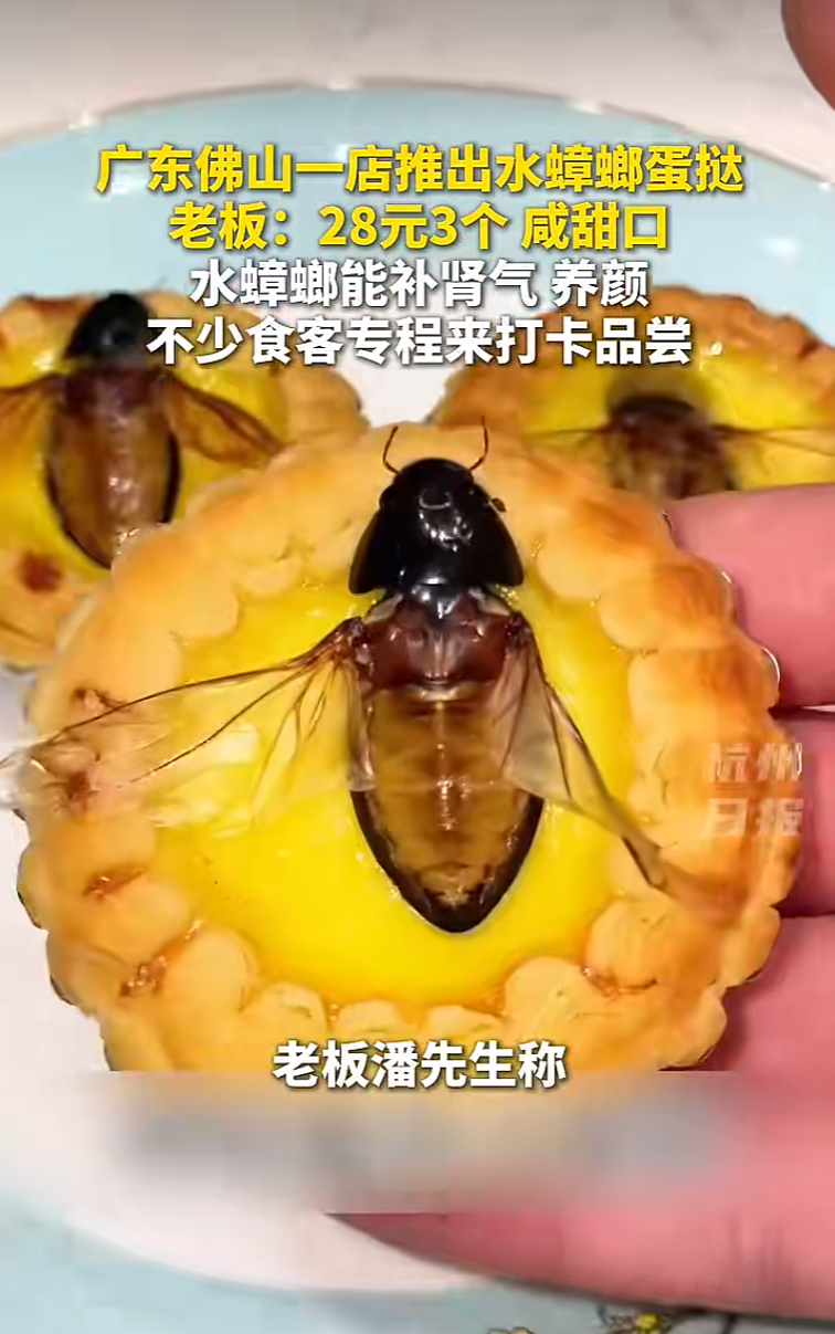 广东一饭店推出“水蟑螂蛋挞”, 老板: 28元3个, 口感像薯片
