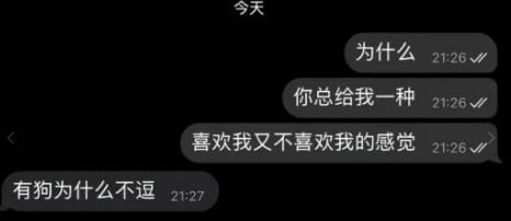 有狗为什么不逗