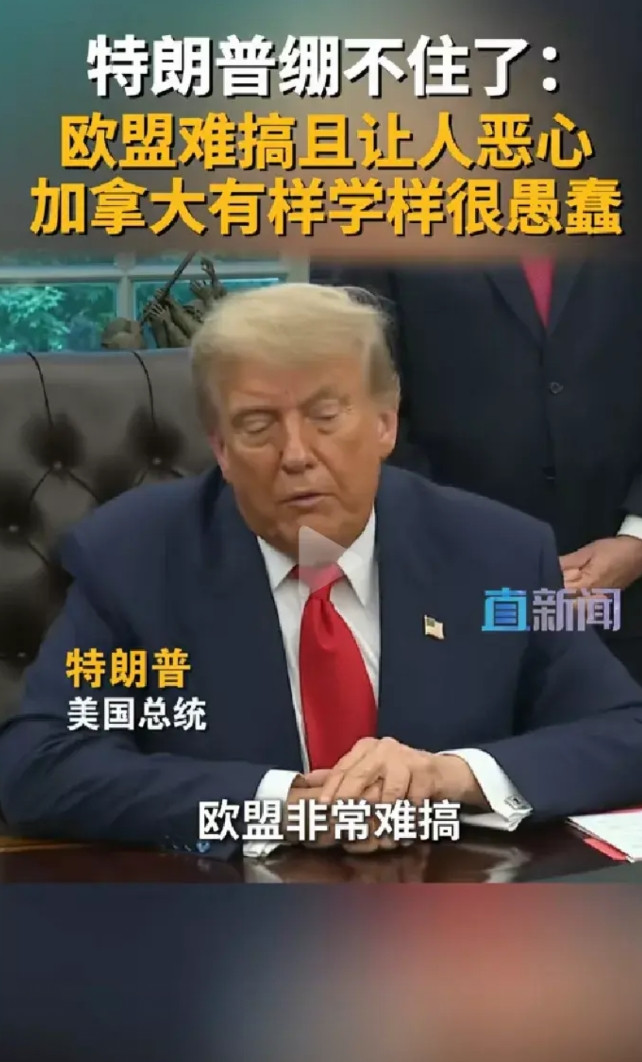 特朗普这总统当得真过瘾，什么欧盟，加拿大，想骂就骂，根本就不在话下，直接说他们恶