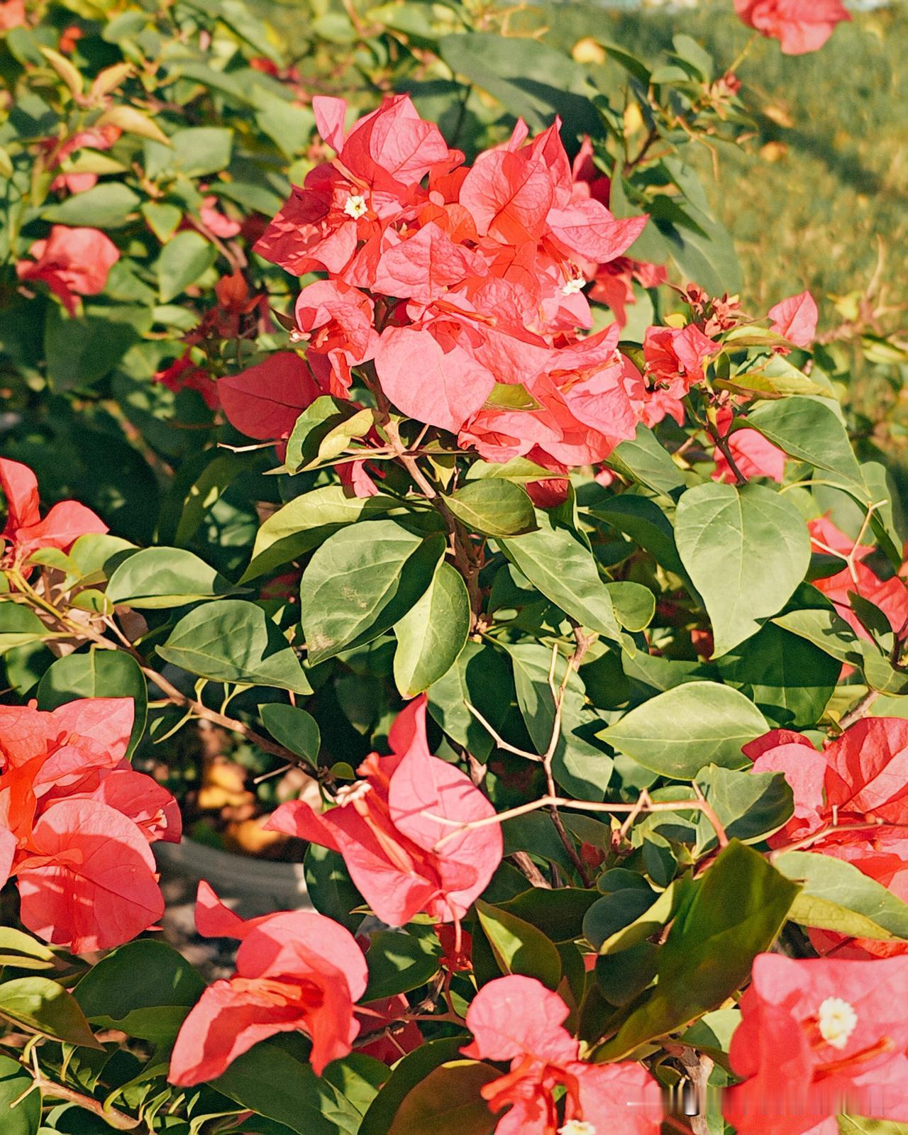 久别重逢的老友，如今已是一所中学的校长。茶香氤氲间，他聊起教育感悟，说出一段让人
