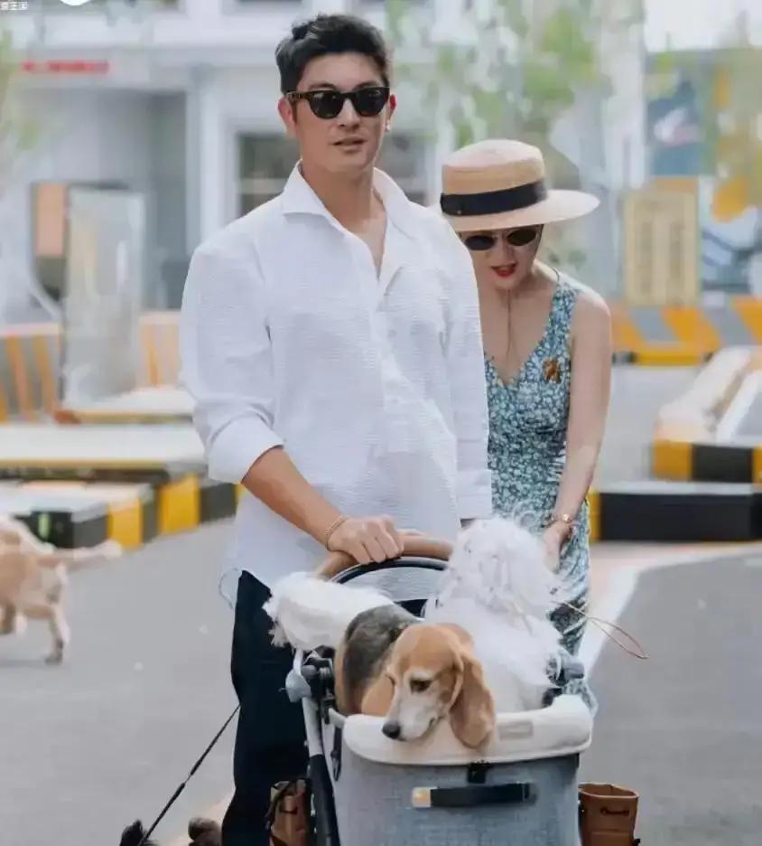 看到霍思燕给狗煮牛肉别急着酸，先看看这个数字：全国5000万只宠物狗，但“冲动领