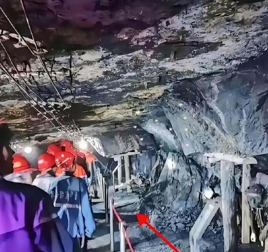 你们太小看煤老板了，他们根本不害怕赔几个亿，也不怕煤矿关停，真正让他们害怕的