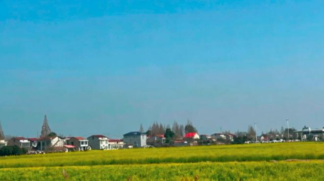 过年回家，我发现一个奇怪的现象。很多人五十多岁已经在农村待着，不再出去找活干