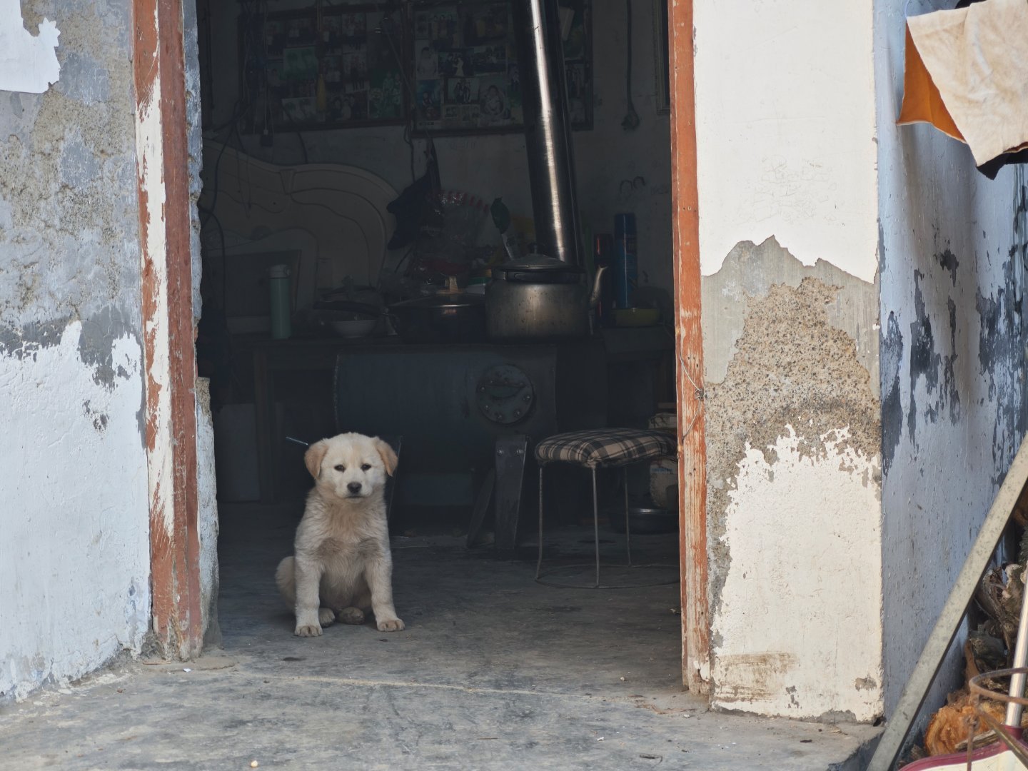 返乡见闻最浓的年味依然是农村，这是我妈妈的舅舅家，老人已经80岁了，虽然不记得