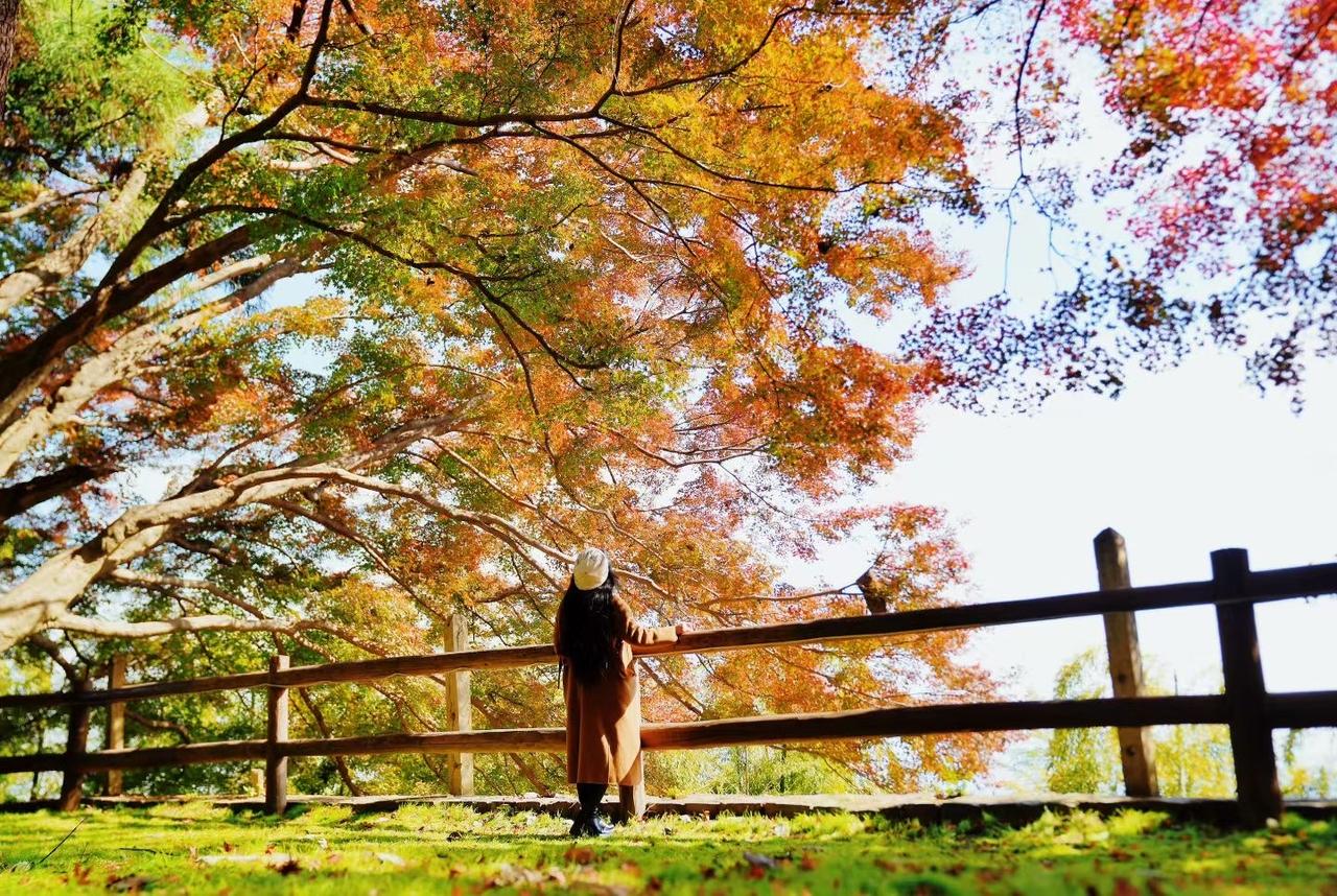 🍁莫干山赏秋秋色无边，听说，秋天适合见面～莫干山旅游景区莫干山旅游