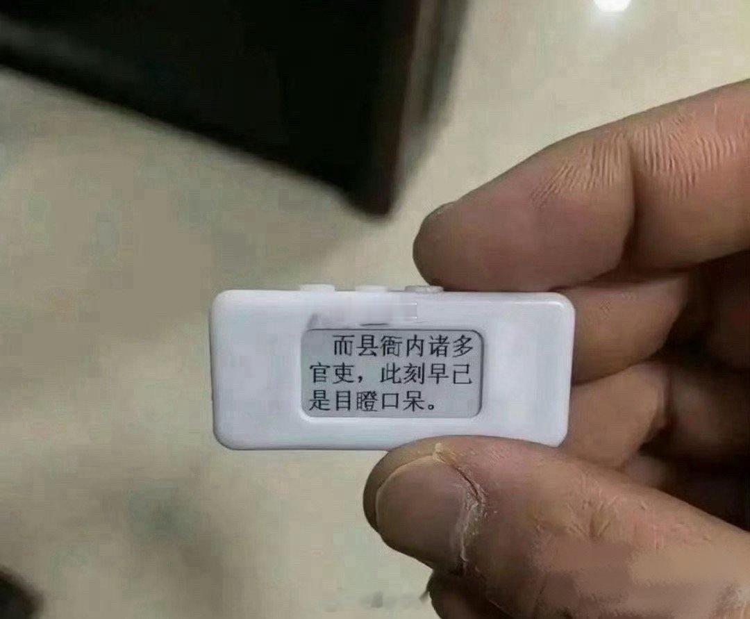 儿子竟然用这个东西看完了一部小说！