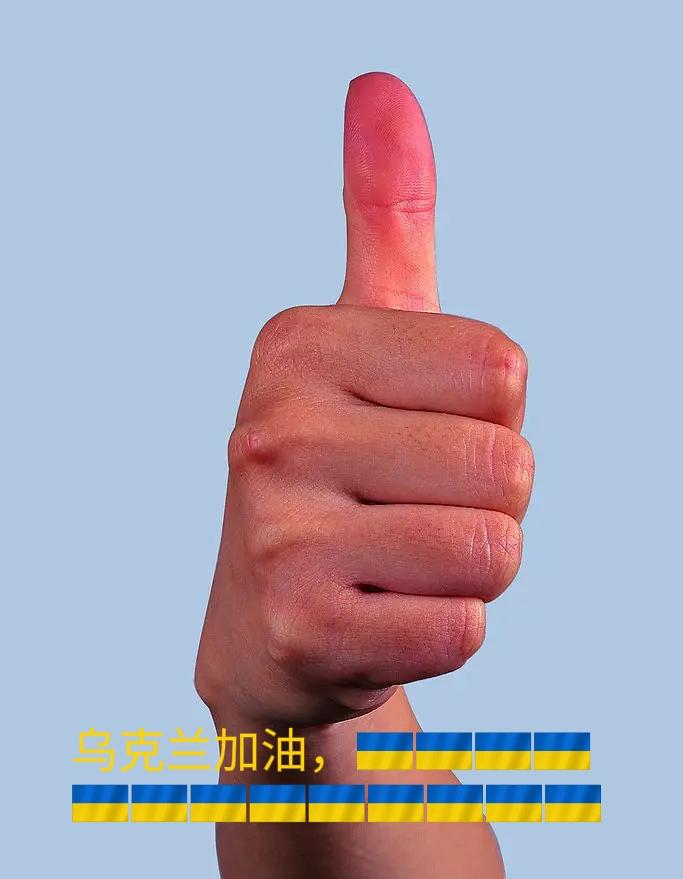 俄罗斯影子舰队，让西方去制裁还不如乌克兰自已动手，短短十天，乌军己经干掉了90艘
