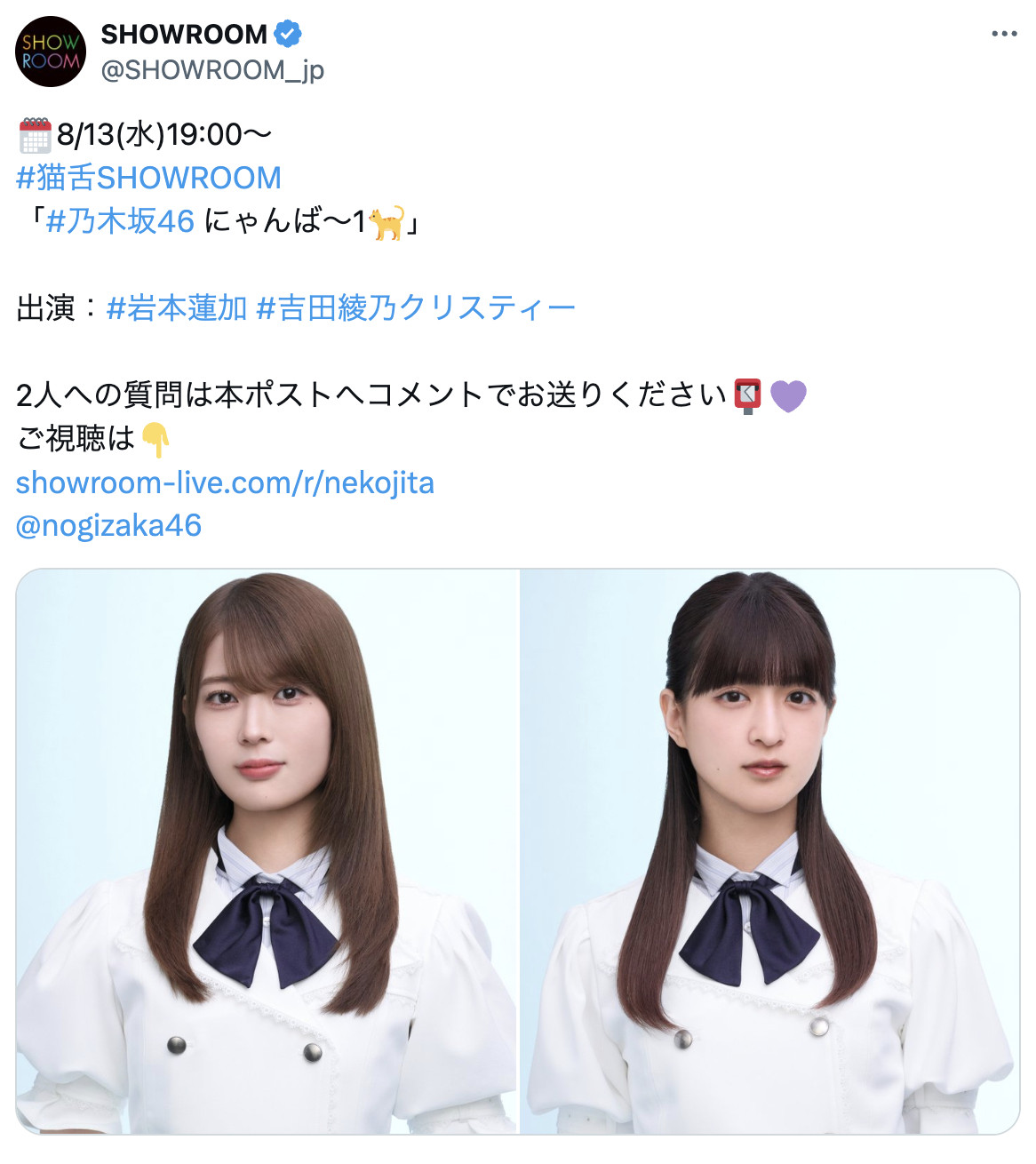 猫舌SHOWROOM​​​