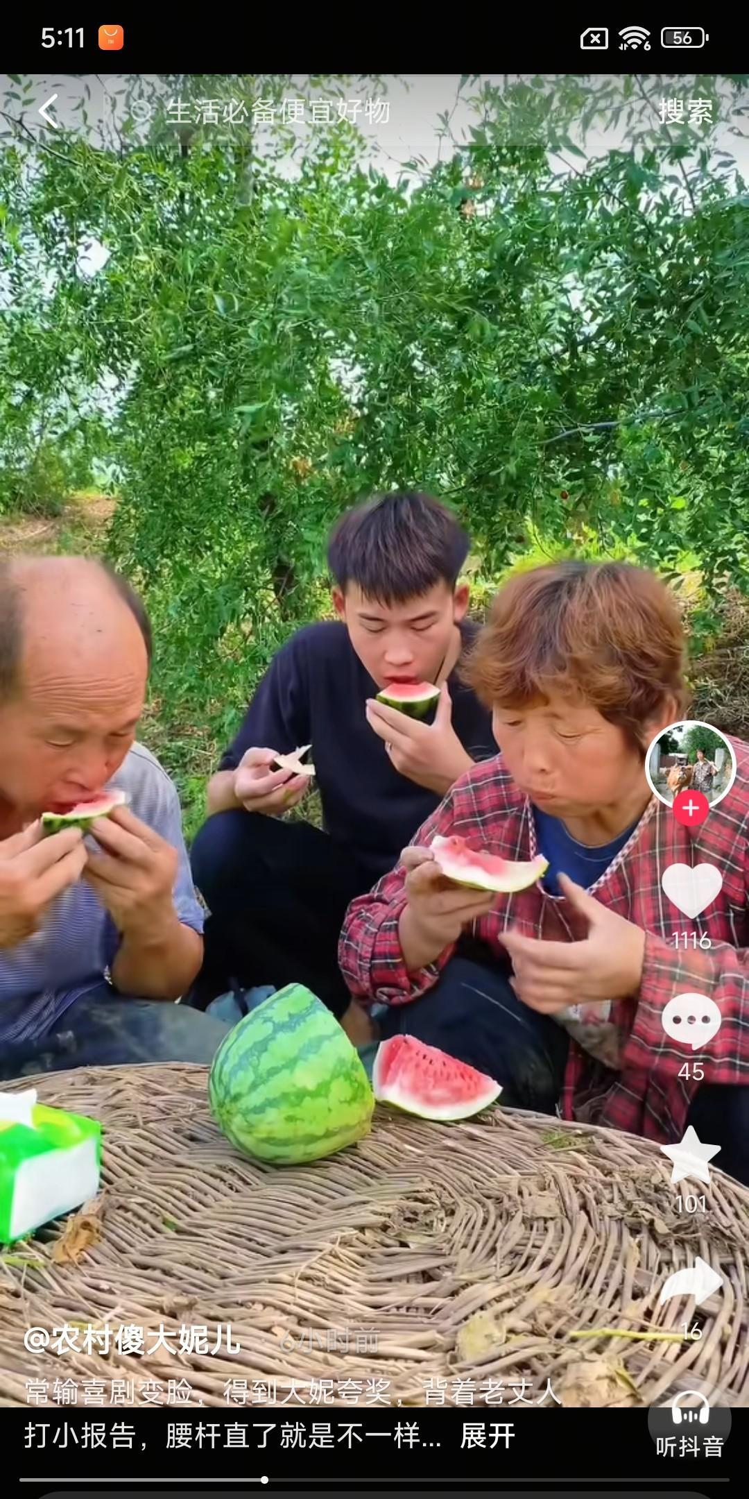 聪聪终于回家干活了，可把老常输两口子高兴坏了，儿子一到地里，老两口子干活都有劲了