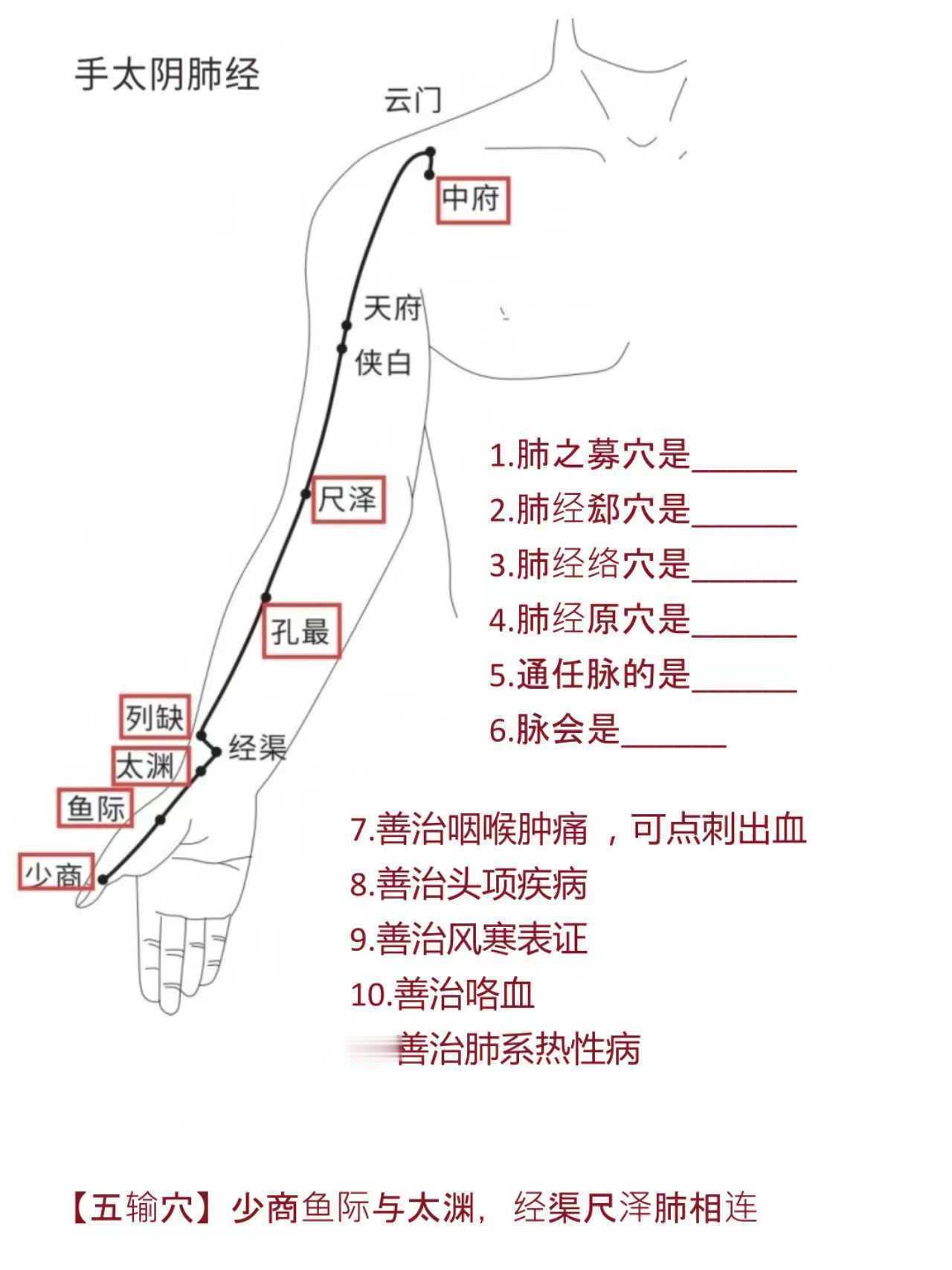 人体经络穴位详细图解！国医的精诚力量