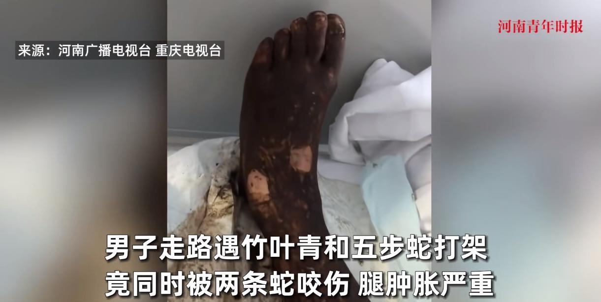“电视剧都不敢这么演！”8月19日，安徽，一大爷在家门口走路玩手机时，没有看到前