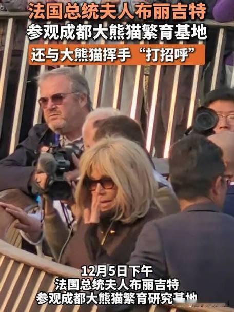 哇塞！法国总统夫人温柔跟大熊猫打招呼啦今日，在熊猫馆内出现超温馨一幕！法国总
