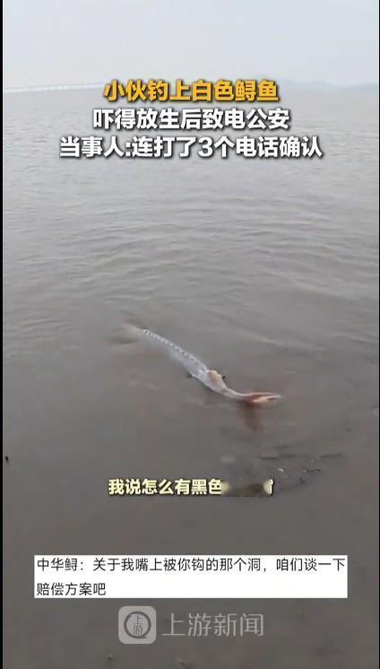 幸亏小伙子头脑比较清醒，没有钓到大鱼就失去理智，而是立即选择放生。如果小伙子把中