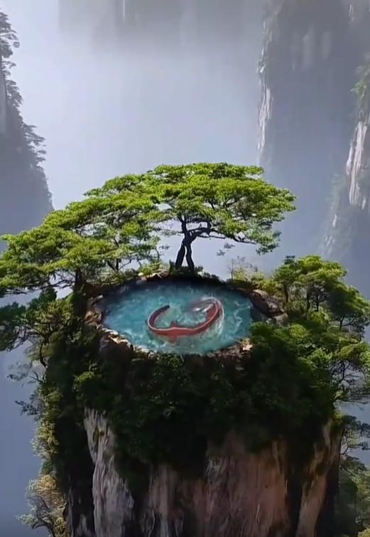 你的平静就是最好的回应人在生气时身体会默默承受伤害别用情绪惩罚自己也别