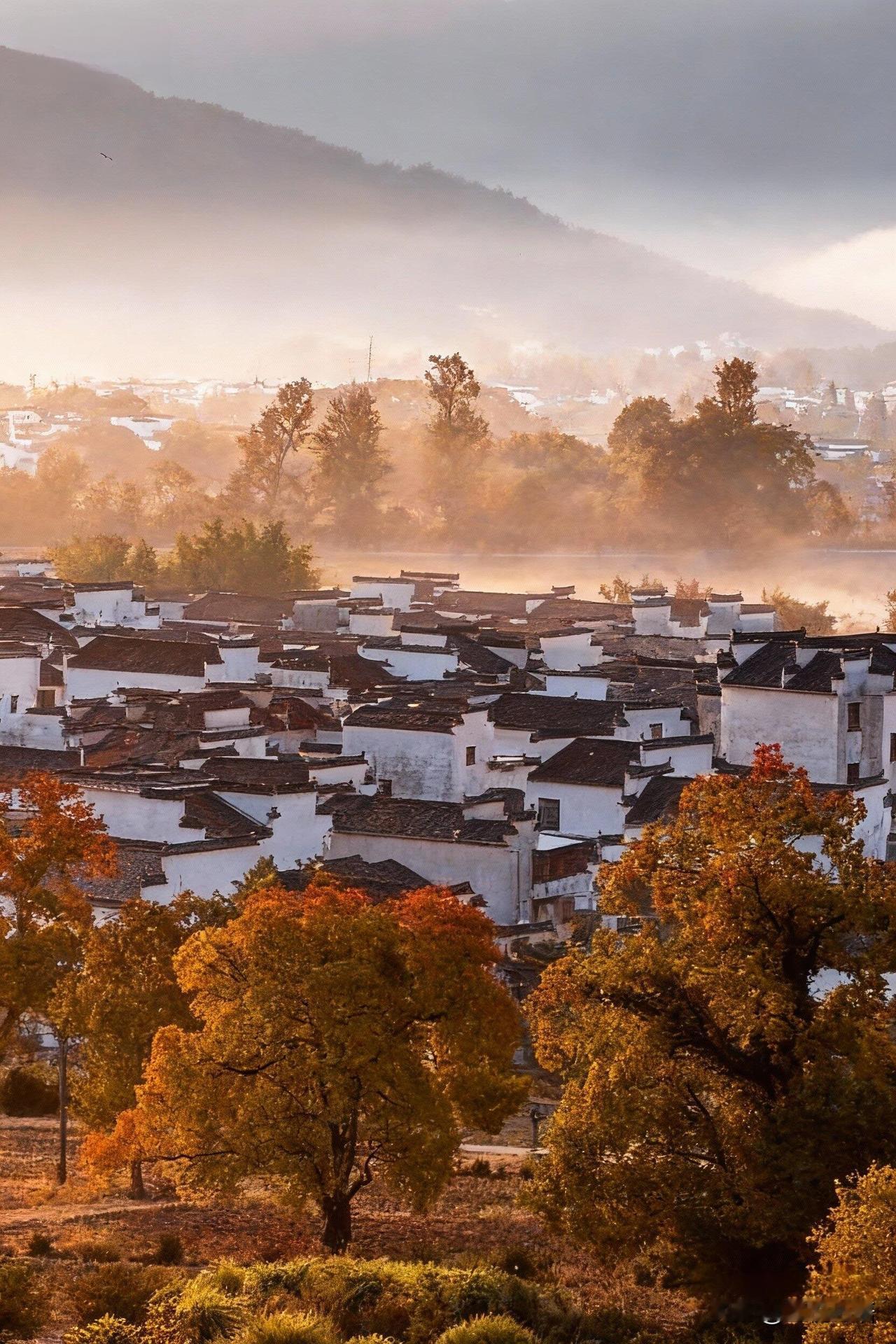 逢人就夸！皖南的秋天美到魂牵梦萦皖南的秋，才是江南最绝的浪漫！宏村的白墙黛