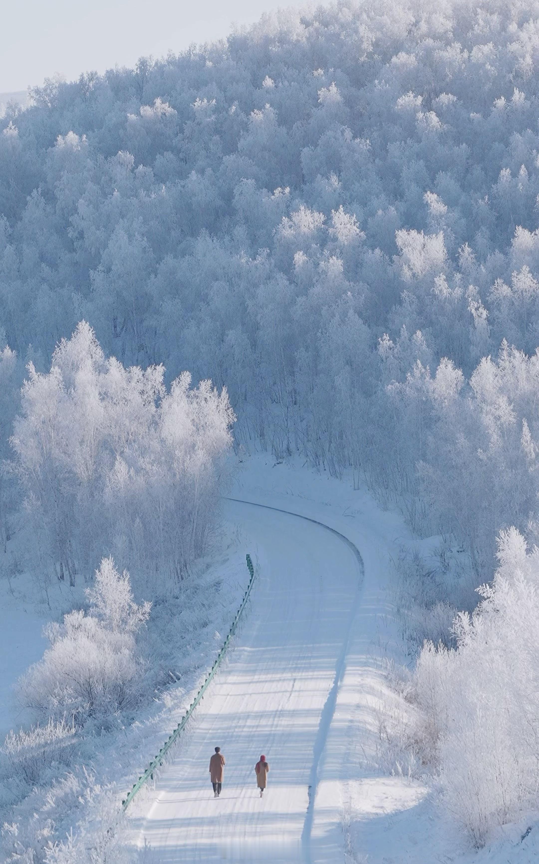 北京又又又要下雪了真的吗有点期待了，最近不出差希望年前在北京看上雪～