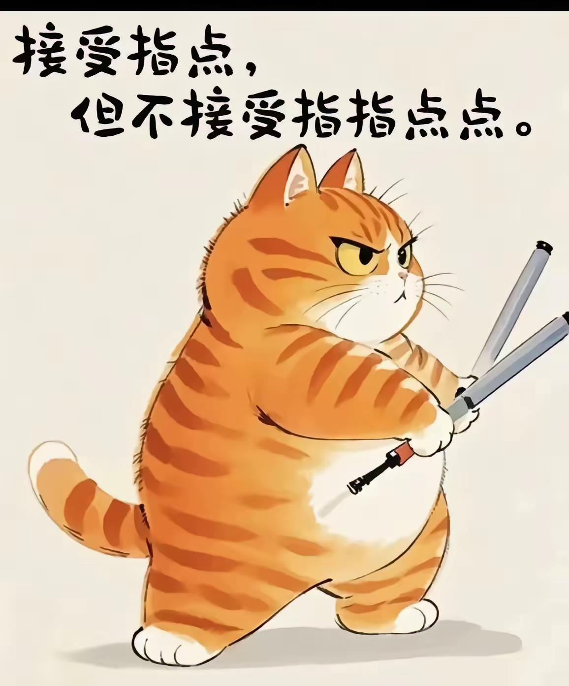佛山会被广州“吞并”？这想法恐怕站不住脚。2025年赛迪顾问新榜单，顺德、南海