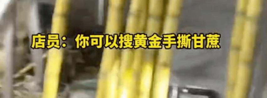 《87元一根甘蔗！不是买不起，是这价格太“扎心”了》一根甘蔗87元，顾客结账