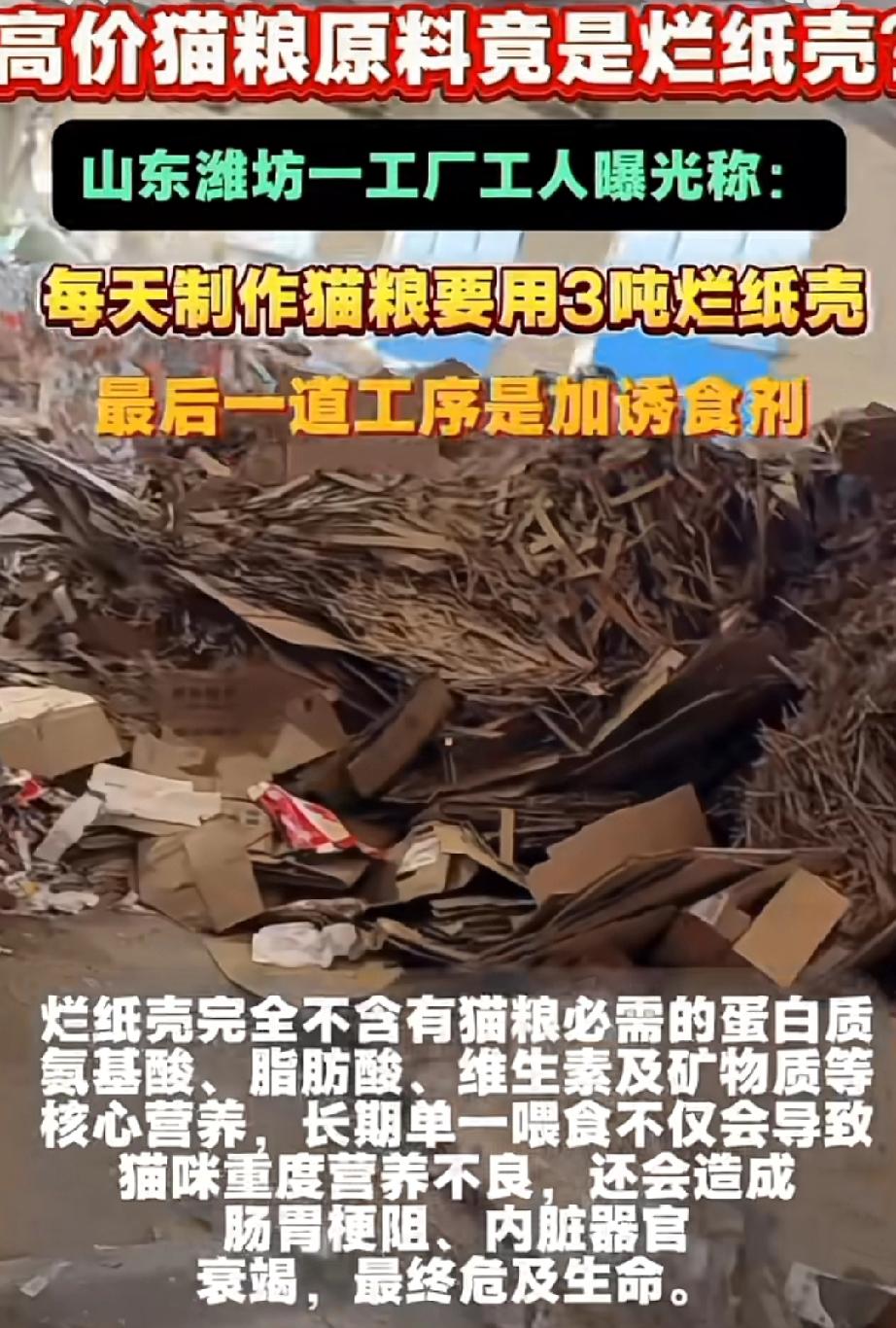烂纸壳加上引诱剂就是猫粮，这黑心猫粮商家也太黑心了吧！这位山东潍坊的员工实在