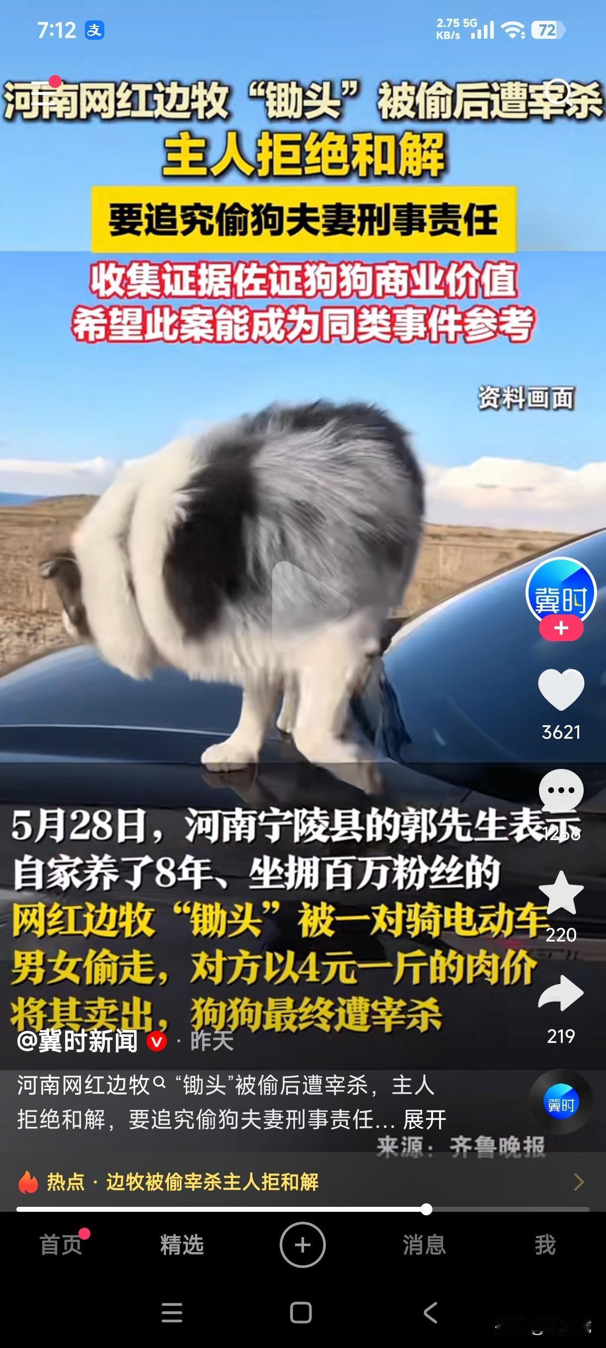 河南网红边牧狗居然被路过骑车的夫妻顺走卖给了狗贩子，狗主人称养了8年坐拥百万粉丝