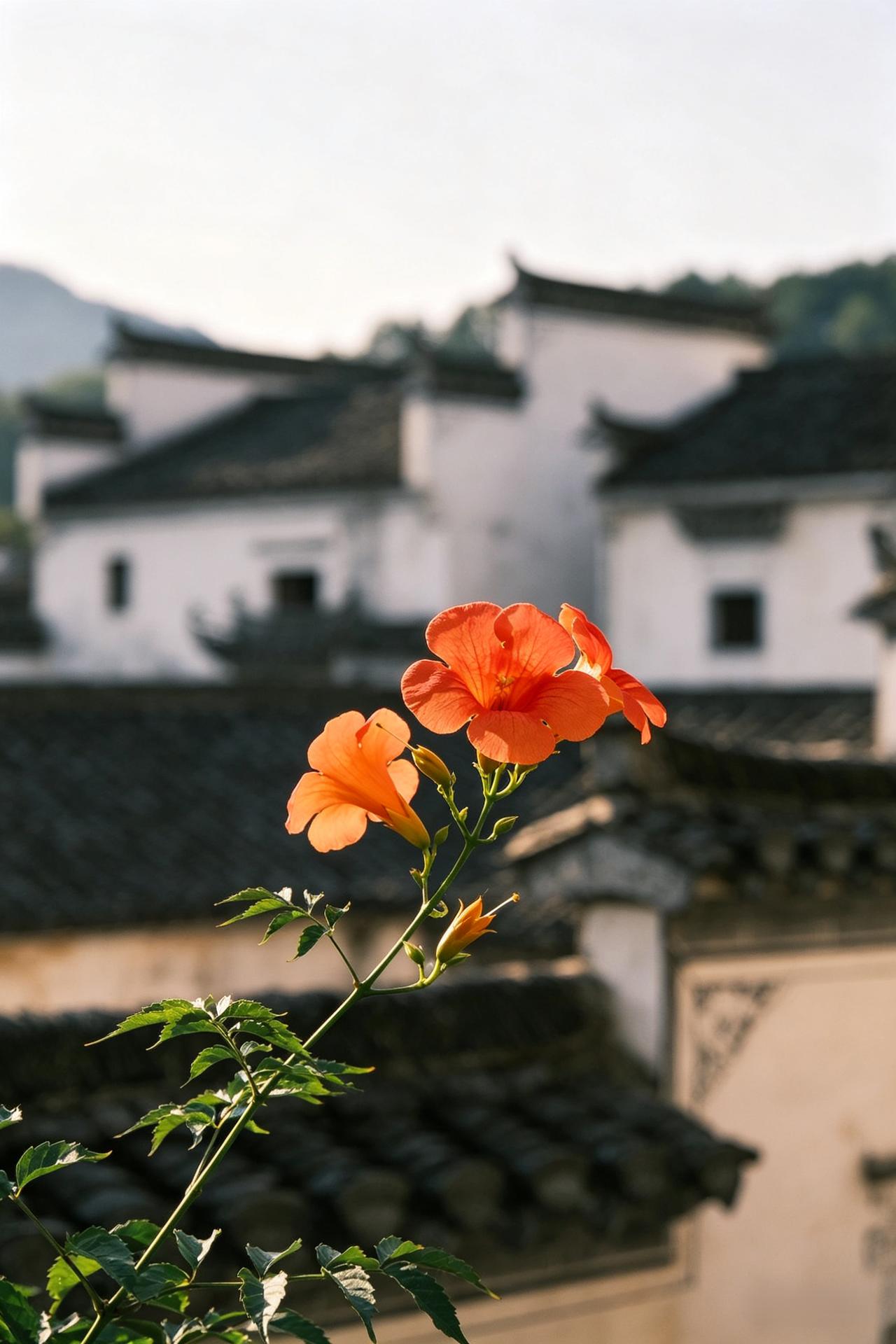 一位资深医生说：“心源性猝死的人，多半爱干这5件事：一是天天熬夜到凌晨；二是一