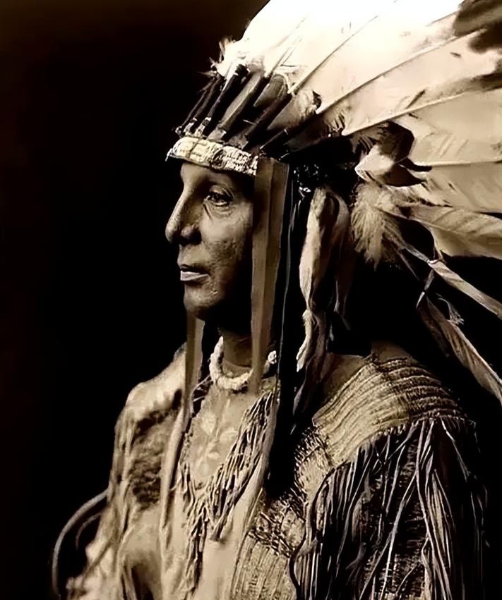 以前天真的以为，美洲原住民输在长矛干不过火枪。 后来才明白，真正的“灭族”根